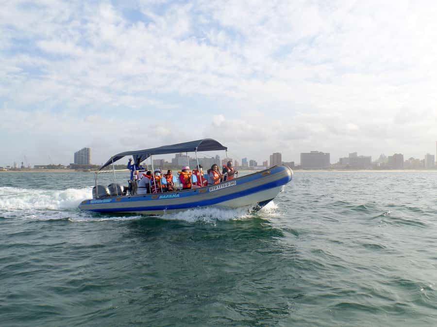 Durban: 1-Hour Boat Cruise from Wilson's Wharf - Music gives the hour its character