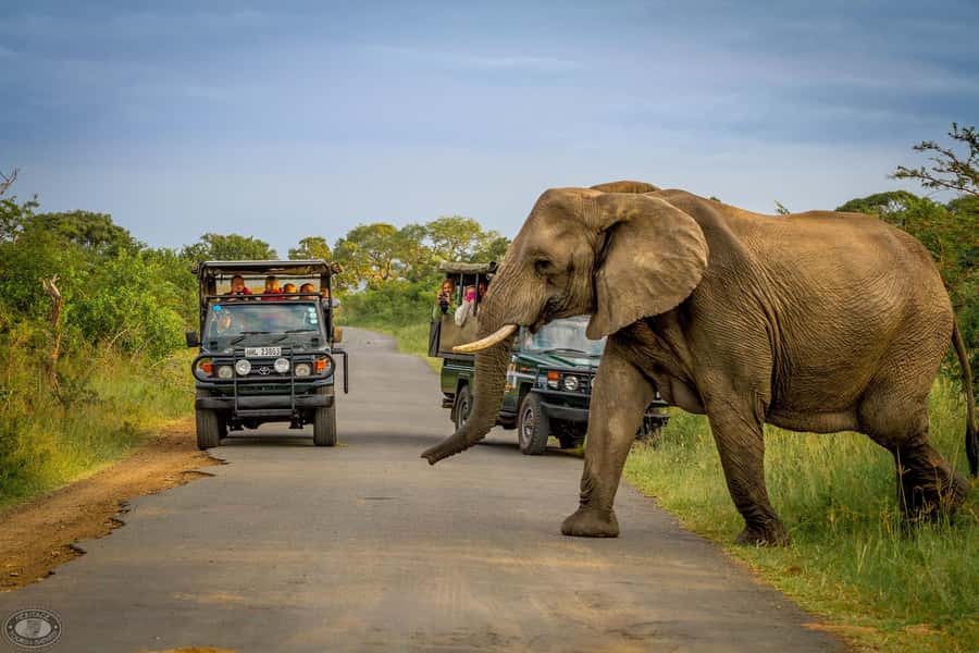 Durban:3 Day Hluhluwe-Imfolozi Park, St Lucia, iSimangaliso - Why this KwaZulu-Natal route works so well
