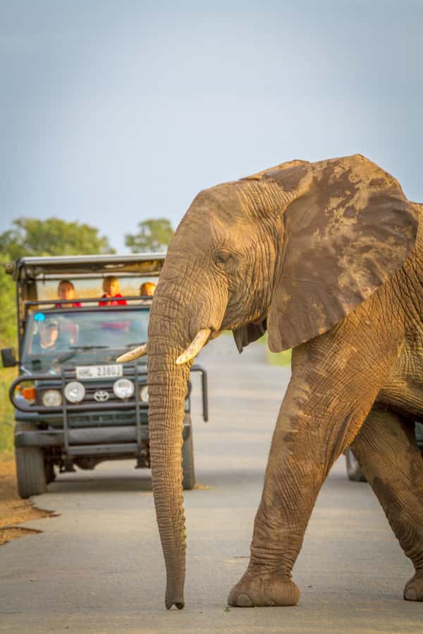 Durban:3 Day Hluhluwe-Imfolozi Park, St Lucia, iSimangaliso - Day two: a 5:00 AM start in Hluhluwe-Imfolozi