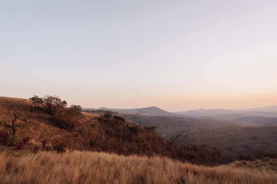 Durban: All-in-one Luxury Spa Package at Gwahumbe Game & Spa - A Two-Course Lunch With a Drink