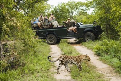 Big 5 Safari – Open Safari Vehicle at Exclusive Reserve
