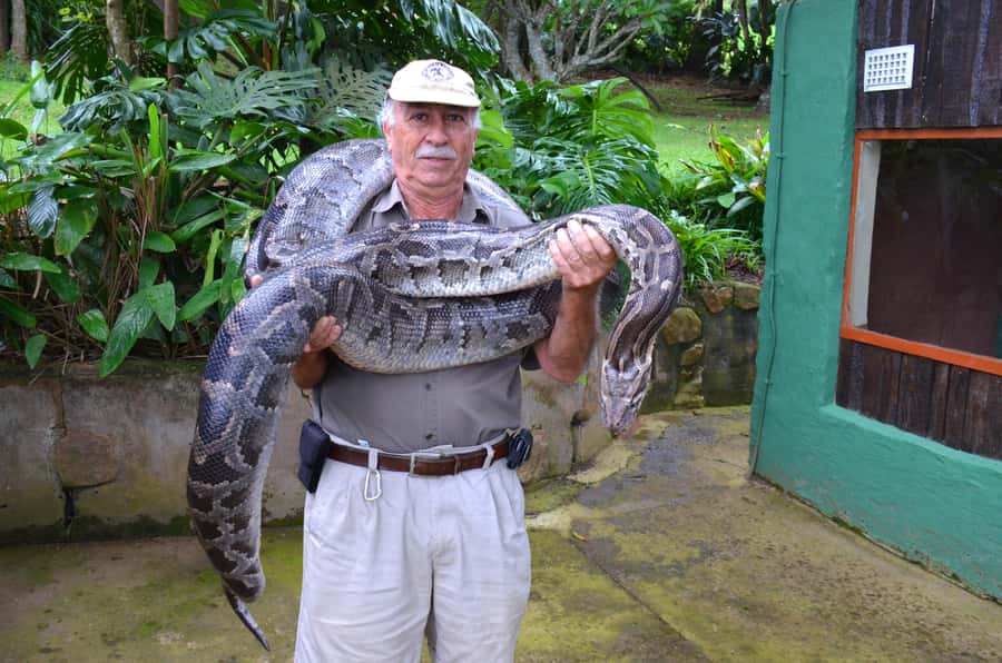 Durban: City & PheZulu Cultural Village Tour - What the $155 price really covers