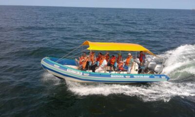 Durban: Whale and Dolphin Watching Boat Tour