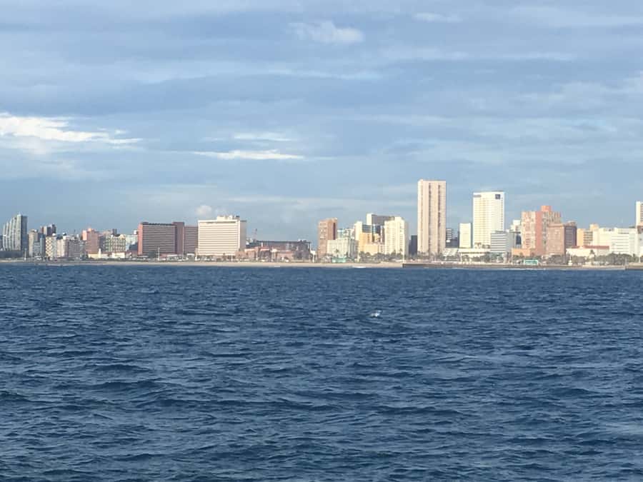 Durban: Durban: Whale and Dolphin Watching Boat Tour - Who should book this Durban cruise?