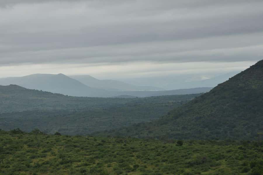 Durban: Full Day Hluhluwe-iMfolozi Game Reserve with lunch - Practical advice for making the day work