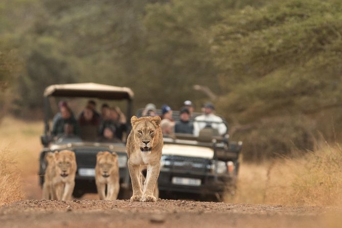 Durban: Go on Safari at 2 Game Reserves (Hluhluwe-Imfolozi) Pro Zeiss Binoculars - Key points to know before booking