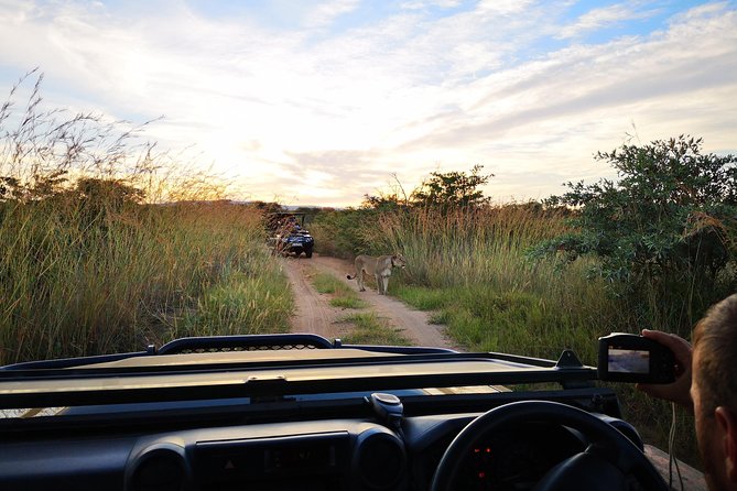 Durban: Go on Safari at 2 Game Reserves (Hluhluwe-Imfolozi) Pro Zeiss Binoculars - Why two reserves make sense from Durban