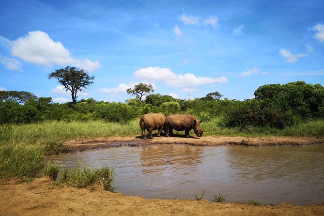 Durban: Go on Safari at 2 Game Reserves (Hluhluwe-Imfolozi) Pro Zeiss Binoculars - Second drive: Manyoni’s 23,000-hectare private reserve