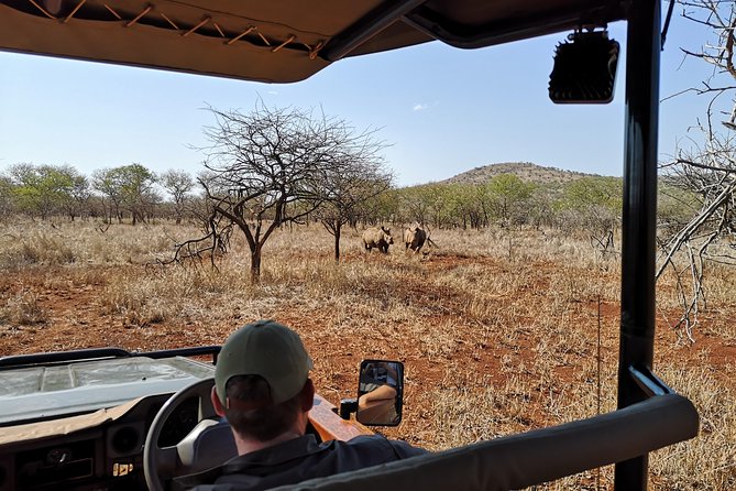 Durban: Go on Safari at 2 Game Reserves (Hluhluwe-Imfolozi) Pro Zeiss Binoculars - What the wildlife sightings can really be like
