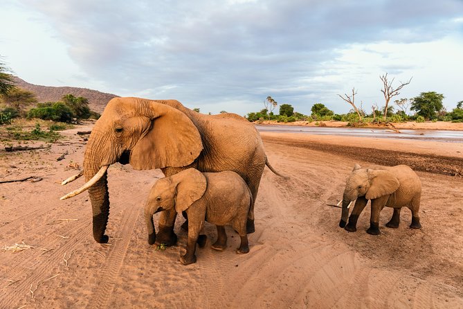 Durban: Go on Safari at 2 Game Reserves (Hluhluwe-Imfolozi) Pro Zeiss Binoculars - Vehicle comfort, group size, and guide support