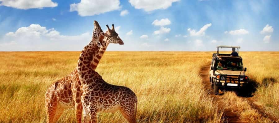 Durban: Half Day Phezulu Safari Park and Durban City Tour - Crocodiles, snakes, and the Reptile Park