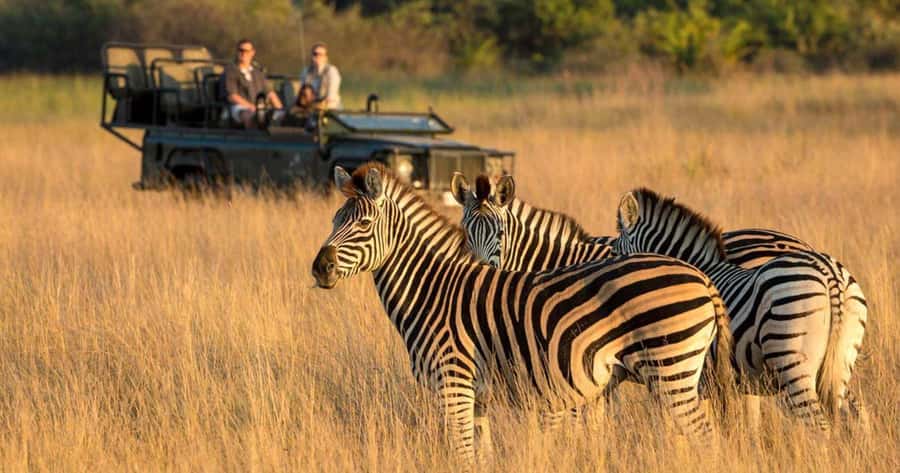 Durban: Half Day Phezulu Safari Park and Durban City Tour - Timing, comfort, and what to bring