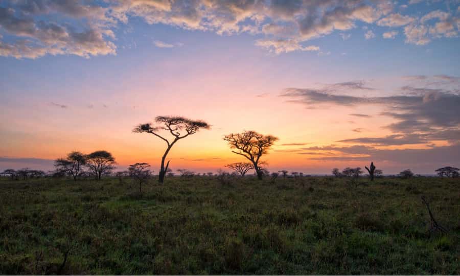 Durban: Hluhluwe Big 5 Safari with Pro Zeiss Binoculars - Afternoon drive through the Hluhluwe side