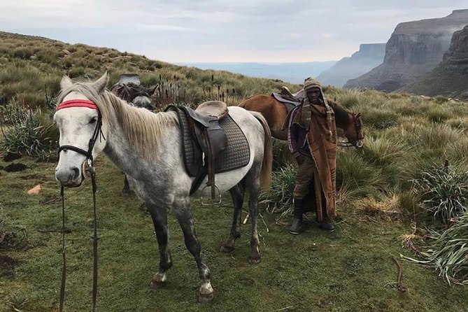 Durban: Journey along the Epic Sani Pass & Lesotho Tour - The five details that matter most
