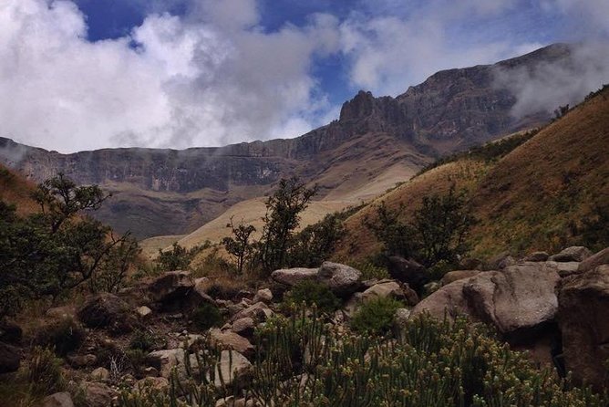 Durban: Journey along the Epic Sani Pass & Lesotho Tour - A Basotho village and traditional bread