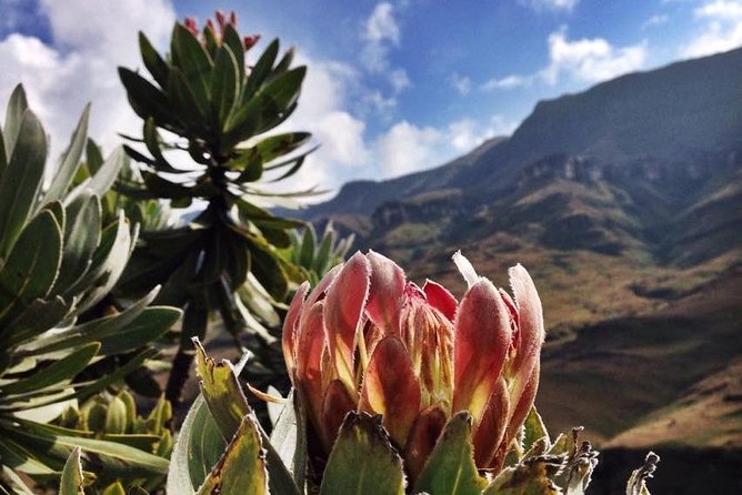 Durban: Journey along the Epic Sani Pass & Lesotho Tour - Cold weather, comfort, and what to pack