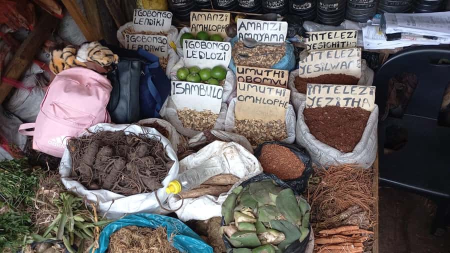 Durban: Local Markets and Culture Guided Walking Tour - Riding Durban’s minibus taxis