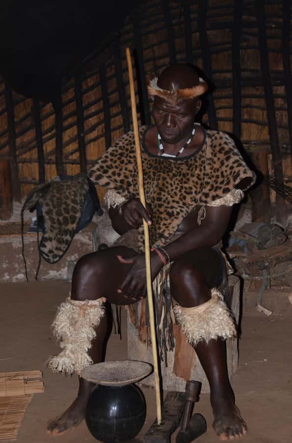 Durban: Phezulu Cultural Village & Reptile Park Tour - Crocodiles, snakes, and Cleo the python