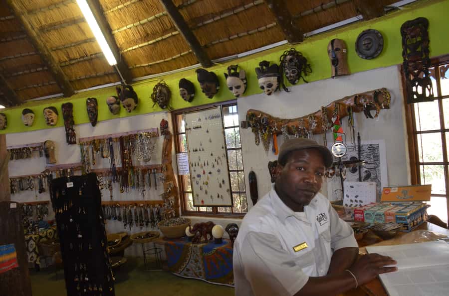 Durban: Phezulu Cultural Village & Reptile Park Tour - What the guide adds to the day