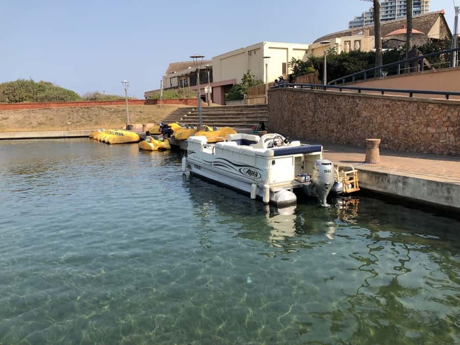 Durban Point Waterfront: Luxury Canal Boat Cruise - What the Durban Point canals reveal