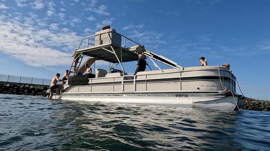 Durban: Pontoon Boat Harbor Cruise - Wildlife, photos, and the onboard mood
