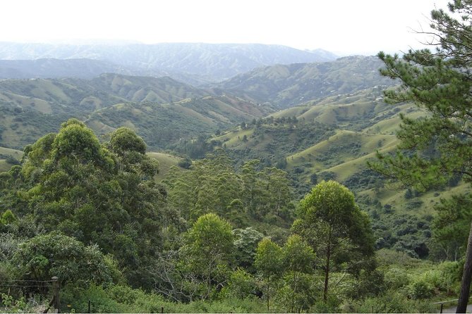 Durban Shore Excursion: Valley of 1000 Hills and PheZulu Tour - Leaving Durban for the Valley of 1000 Hills