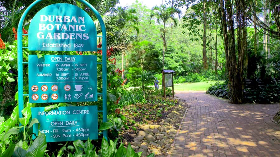 Durban: Top 10 City Sights and Walking Tour - Victoria Street Market and Durban’s Indian flavor