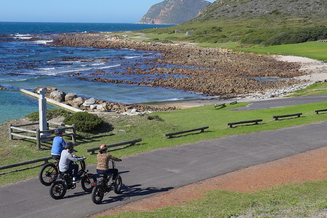 E-Bike Cape Peninsula tour - The Guide Can Shape the Whole Experience