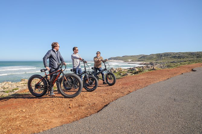 E-Bike Cape Peninsula tour - Who Will Enjoy This Cape Peninsula Day Most