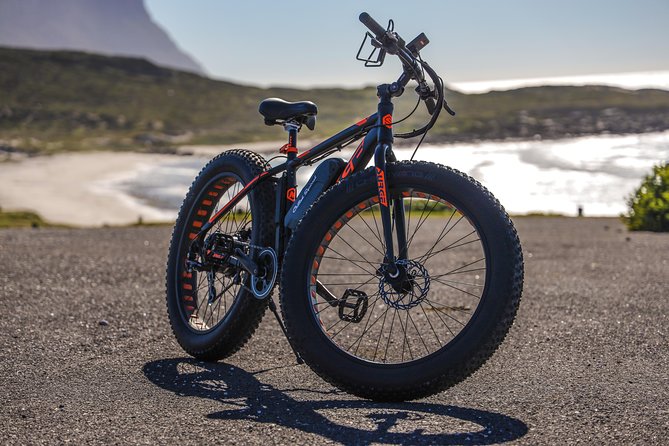 E-Bike Cape Peninsula tour - Collecting the Bikes Inside Cape Point Nature Reserve