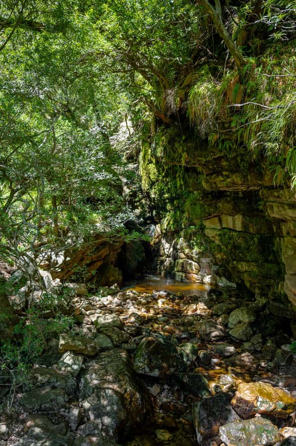 E-Bike & Hike Jonkershoek - Bike condition and practical comfort