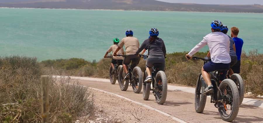 E-Bike Safari Tour with Wildlife Viewing & Lunch - Key points to know before you book