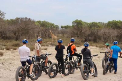 E-Bike Safari Tour with Wildlife Viewing & Lunch