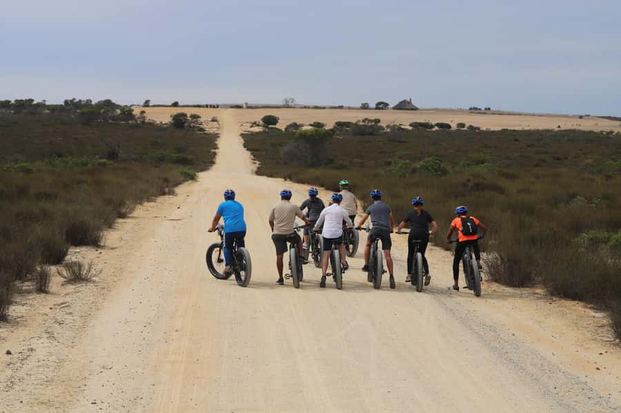 E-Bike Safari Tour with Wildlife Viewing & Lunch - Who will enjoy this most?