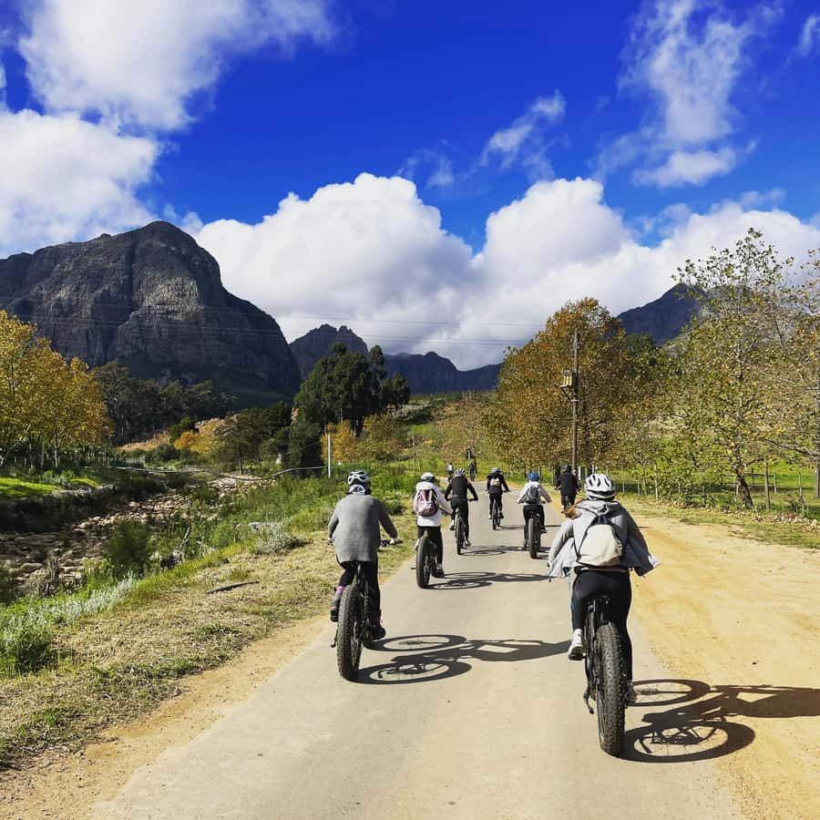 E-Bike Stellenbosch Winelands - Full Day Private Tour - The vineyard ride toward Tokara