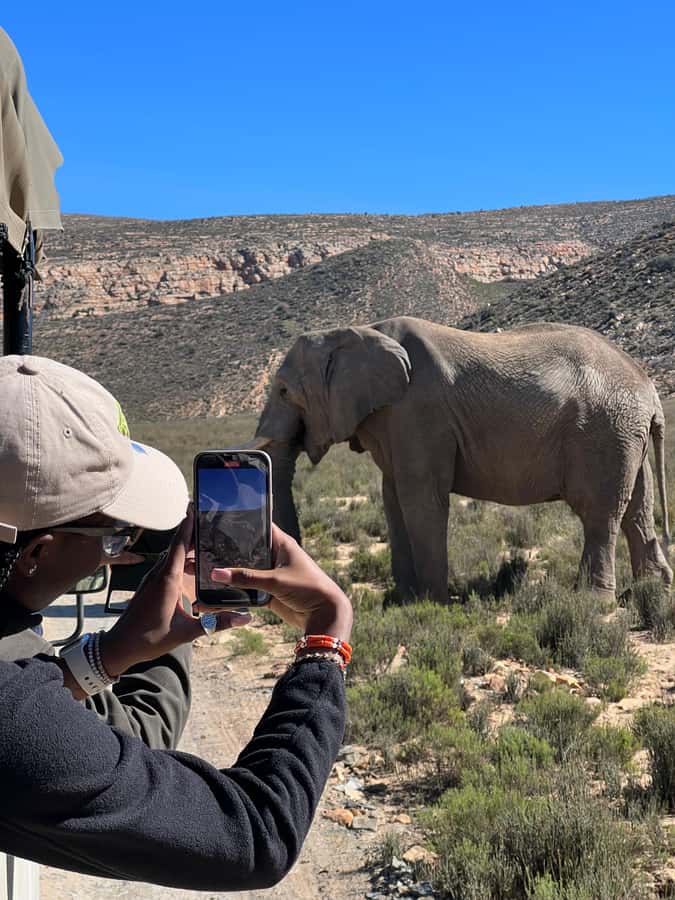 Early Morning Safari Big Five Experience Near Cape Town, SA - Key points to know before you book