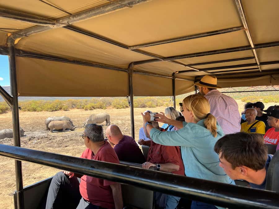 Early Morning Safari Big Five Experience Near Cape Town, SA - Should you book this Cape Town safari?