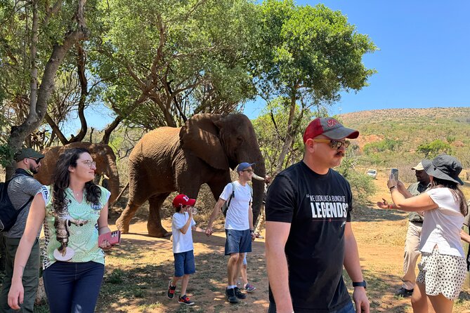 Elephant & Monkey Sanctuary Tour from Johannesburg - Key points before you book