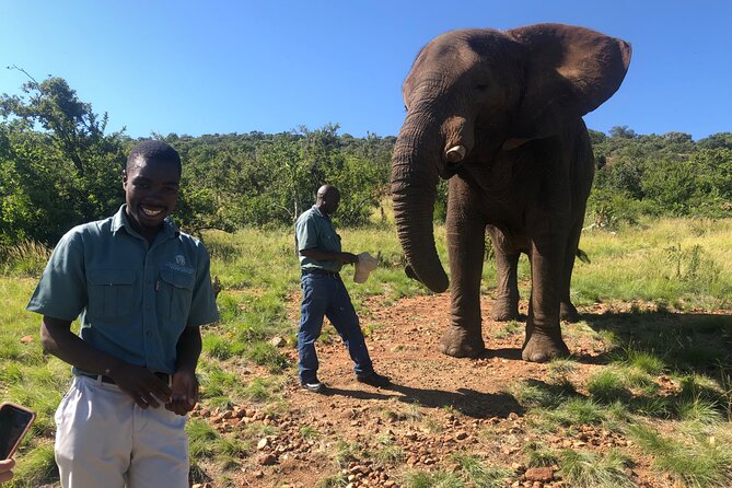 Elephant & Monkey Sanctuary Tour from Johannesburg - What the $307.20 price includes