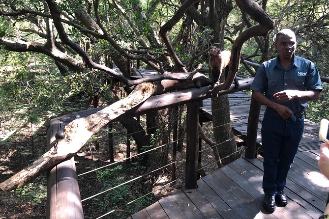 Elephant & Monkey Sanctuary Tour from Johannesburg - Should you book the Elephant and Monkey Sanctuary Tour?