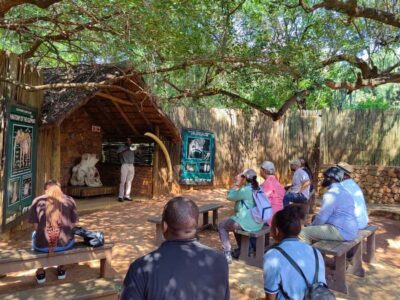 Elephant & Monkey Santuary with Lion Park Tour