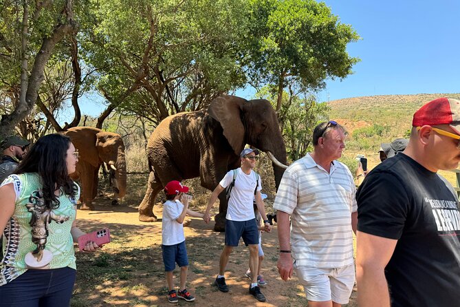 Elephant Sanctuary Tour from Johannesburg - From Johannesburg to Hartebeespoortdam