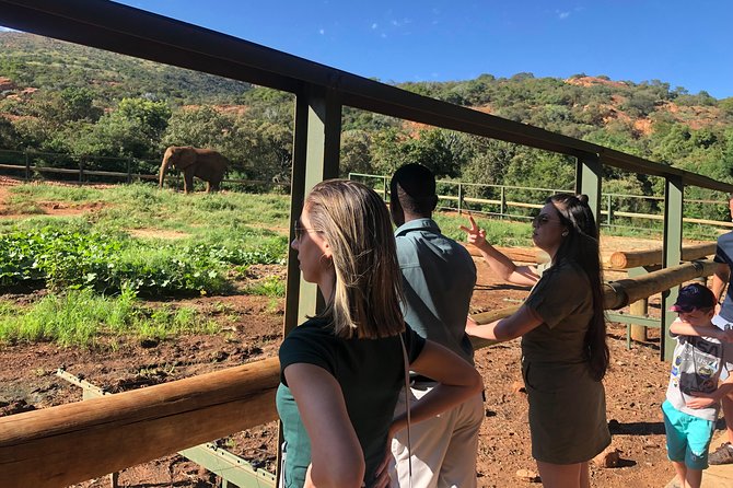 Elephant Sanctuary Tour from Johannesburg - The conservation talk adds needed context