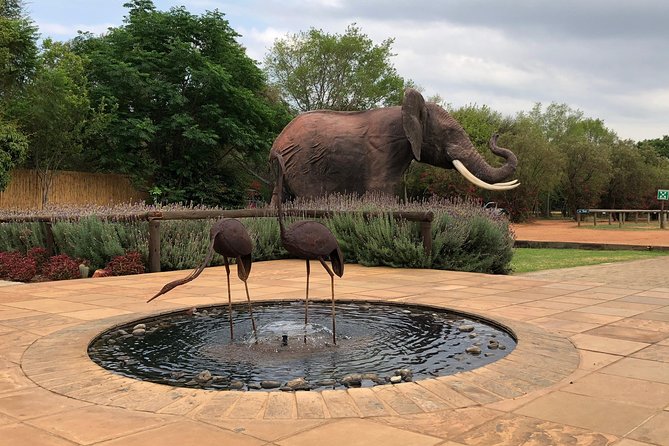 Elephant Sanctuary Tour from Johannesburg - Is $245 a fair price?