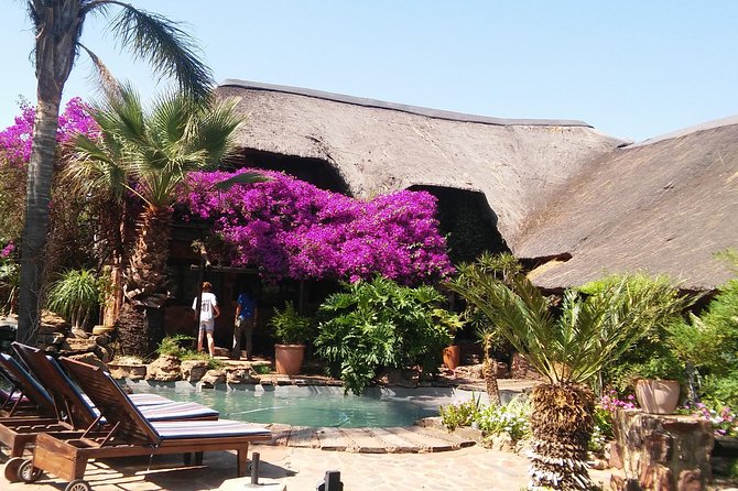 Elephant Walk Guided Half Day Tour from Johannesburg - Tea, lunch, and the lodge stop