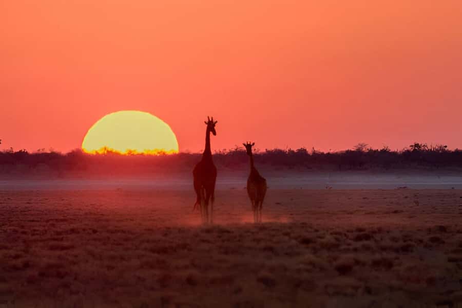 Evening Pilanesberg Safari Tour from Sun City - Sunset over Pilanesberg