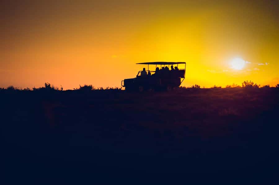Evening Pilanesberg Safari Tour from Sun City - A small group makes the guide easier to hear