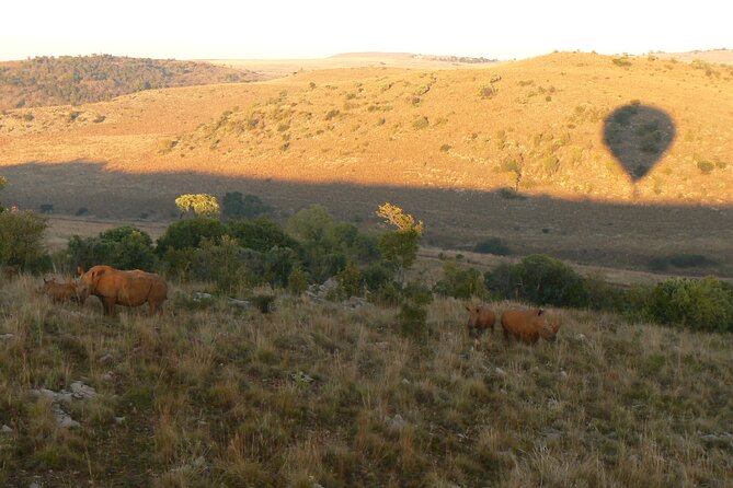 Exclusive Safari Flight - Breakfast at Kloofzicht Lodge