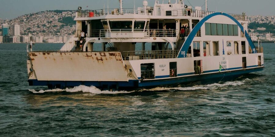 Exhilarating Shark Cage Diving Experience in Cape Town - Who will enjoy this most