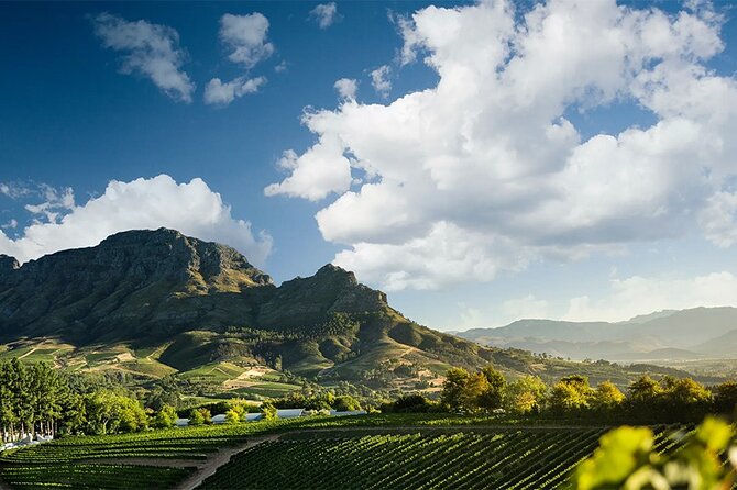 Experience 16 Wine Tasting & 6 Cheese Pairing across 3 Vineyards - Lanzerac: old buildings, gardens, and classic Cape wine